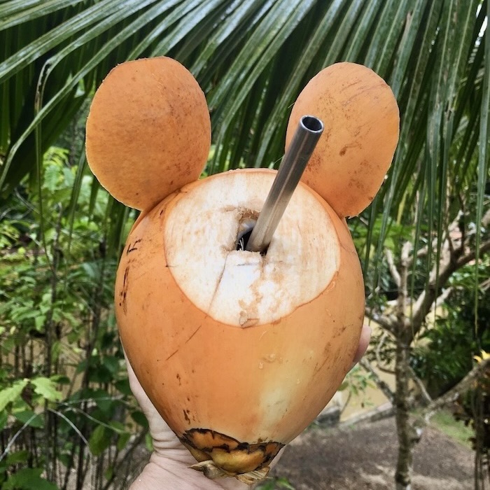 Natural coconut water and metal straw. Example of sustainable practices and fresh, homegrown ingredients