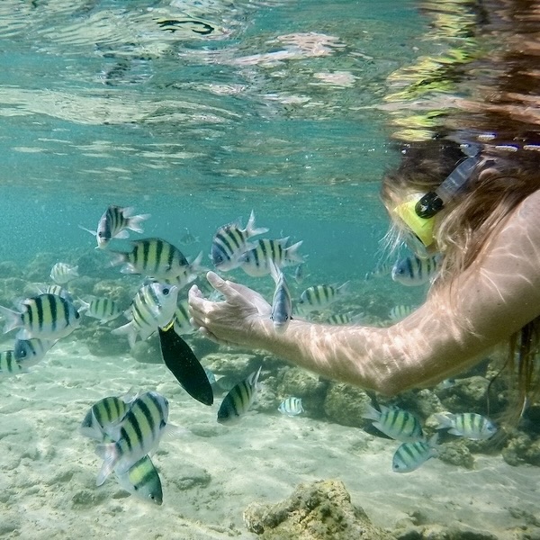 Tourist snorkeling among tropical fish in the clear waters of Hikkaduwa, Sri Lanka