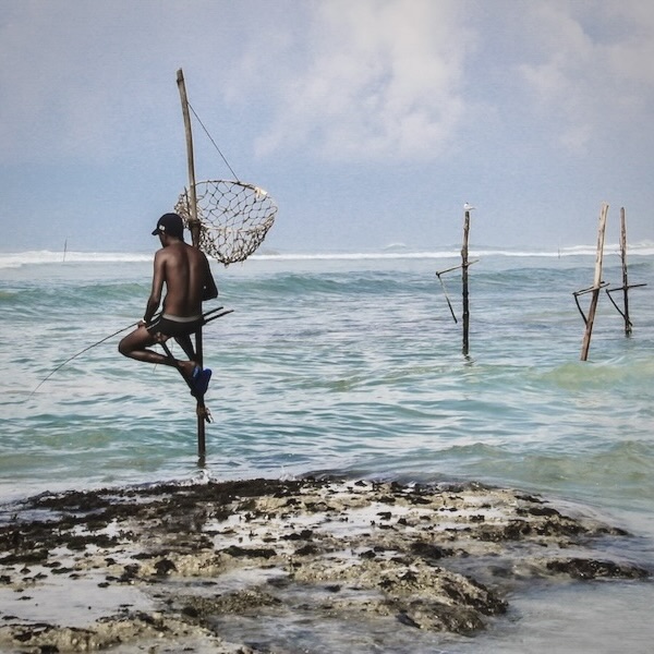 Traditional Sri Lankan stilt fishermen practicing their craft along the southern coast