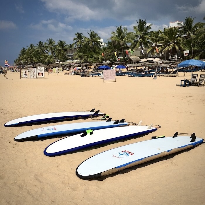 Surfboards ready to be taken to the beach in Hikkaduwa beach